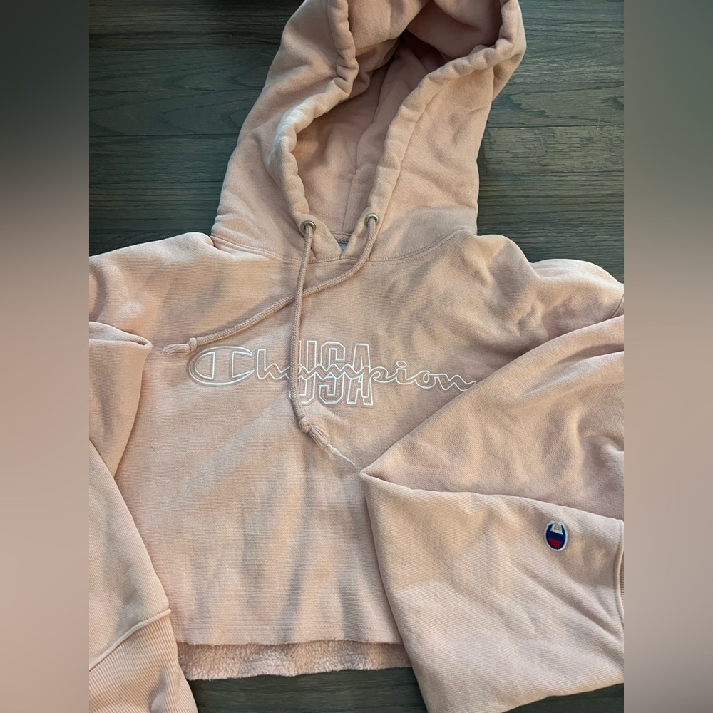 Champion cropped hoodie.